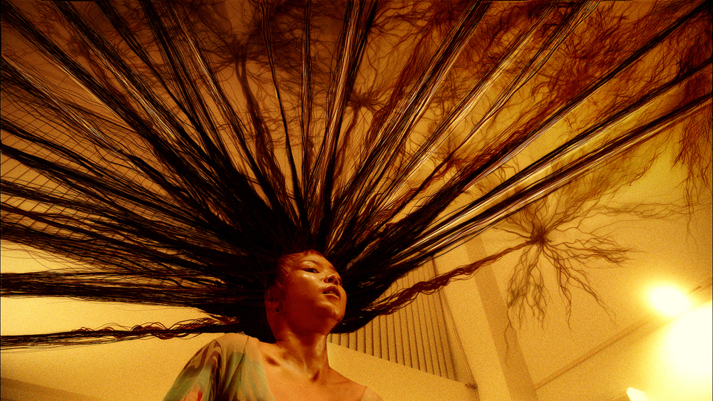 Exte: Hair Extensions (Ekusute) | Museum of Arts and Design